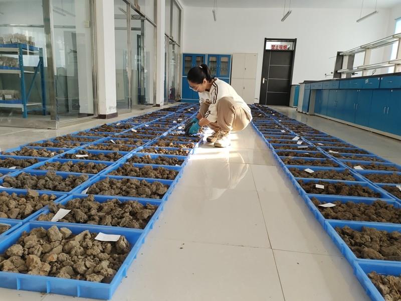 土壤樣品處理.jpg